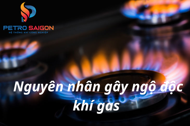 Nguyên nhân khí gas gây ngộ độc